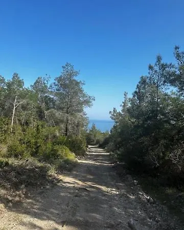 Crystal Joya Penthouse