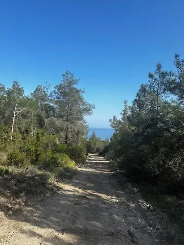 Crystal Joya Penthouse