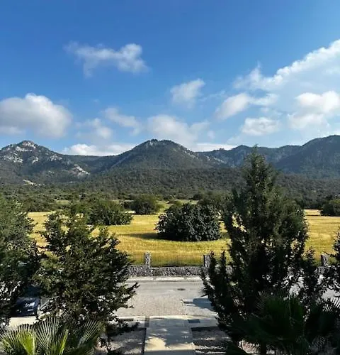 アパート Crystal Joya Penthouse